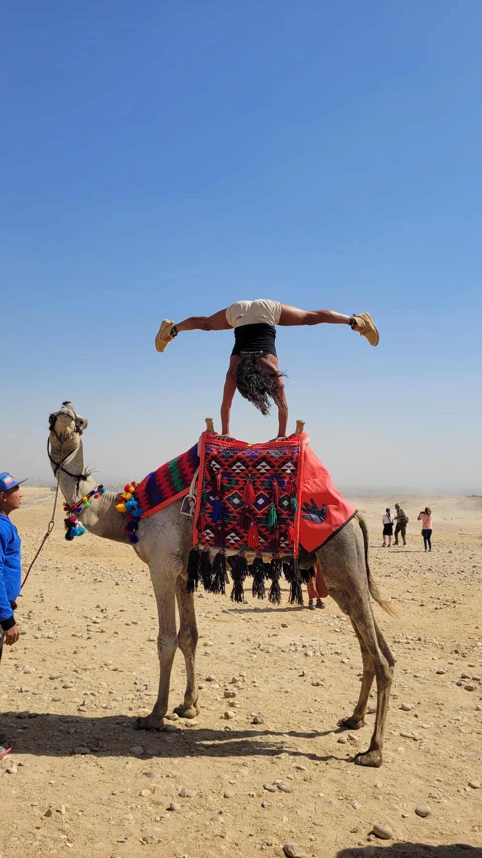 An EAC participant doing a handstand on a camel during the Giza trip