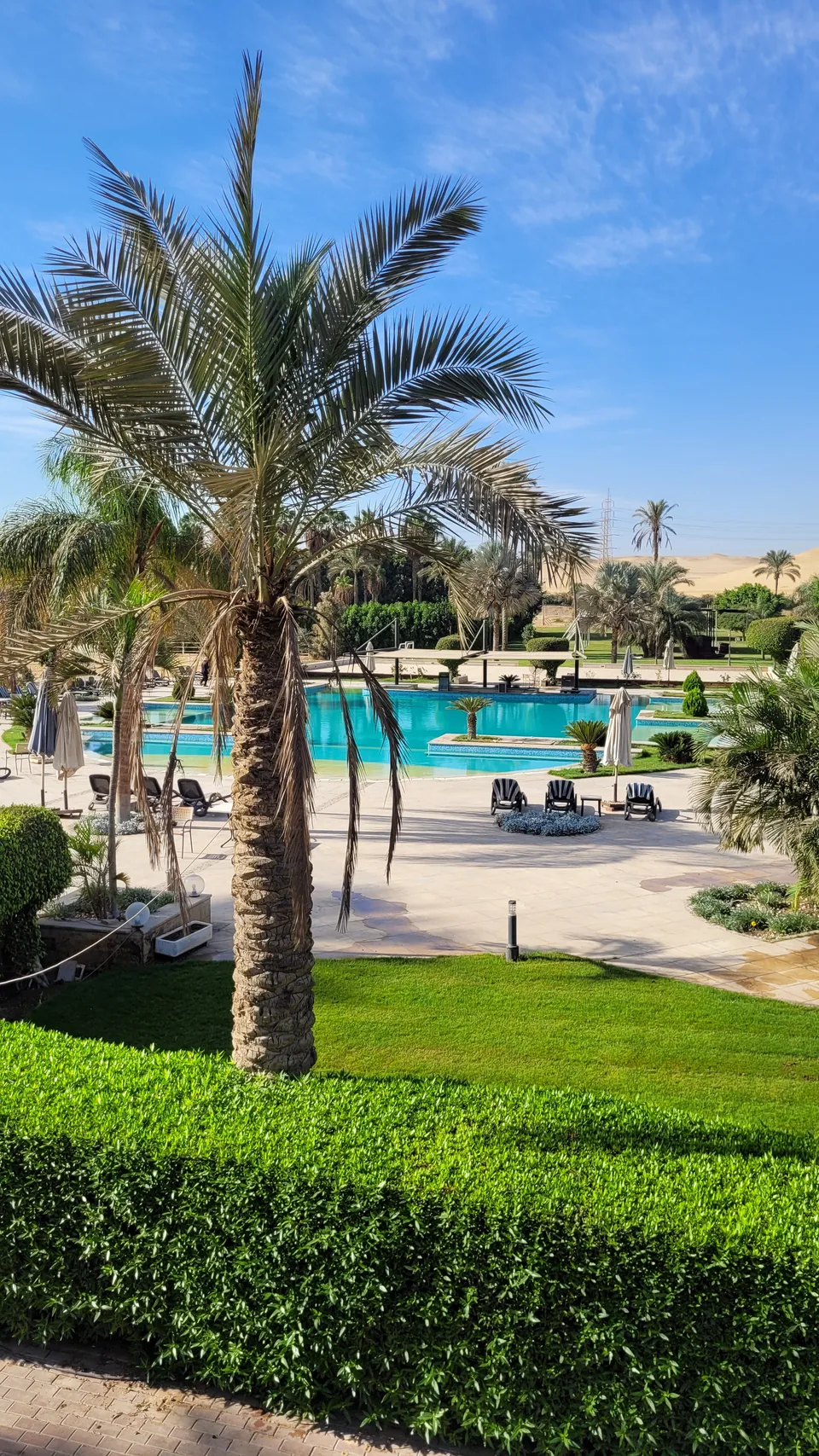 The venue pool surrounded by palm trees and gardens